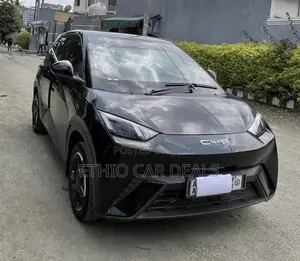 BYD Seagull 2025 Black