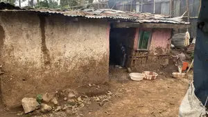 The Best Land