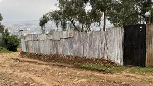 The Best Land