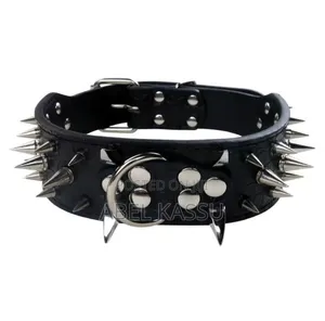Collar for Pet