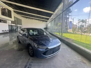New BYD Qin Plus DM-i 2024 Gray