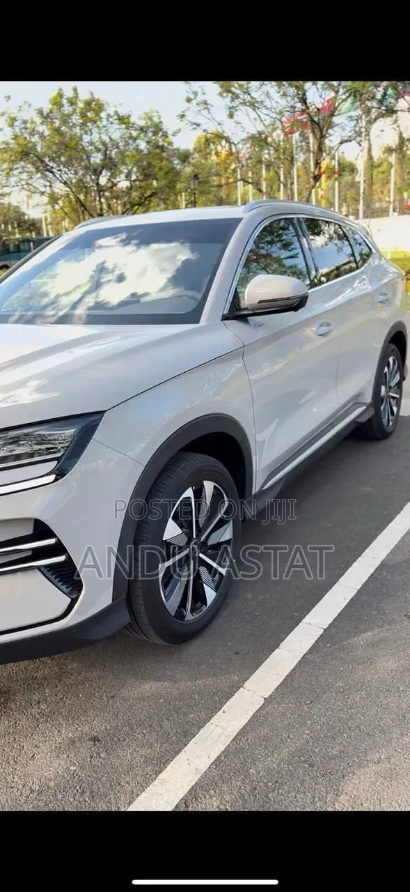 BYD Song Plus 2024 Gold