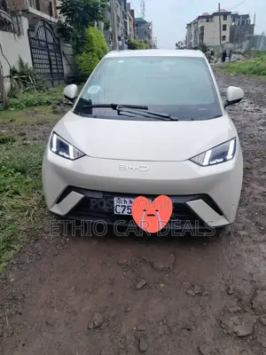 BYD Seagull 2025 White