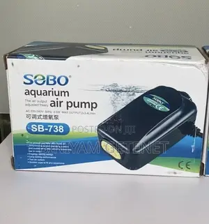 Airpump 2 Outlet