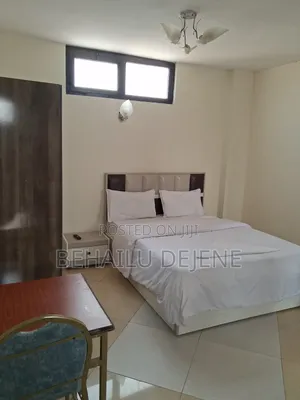 Furnished Studio Apartment in Lucy Sabrin Guest, Bole for rent