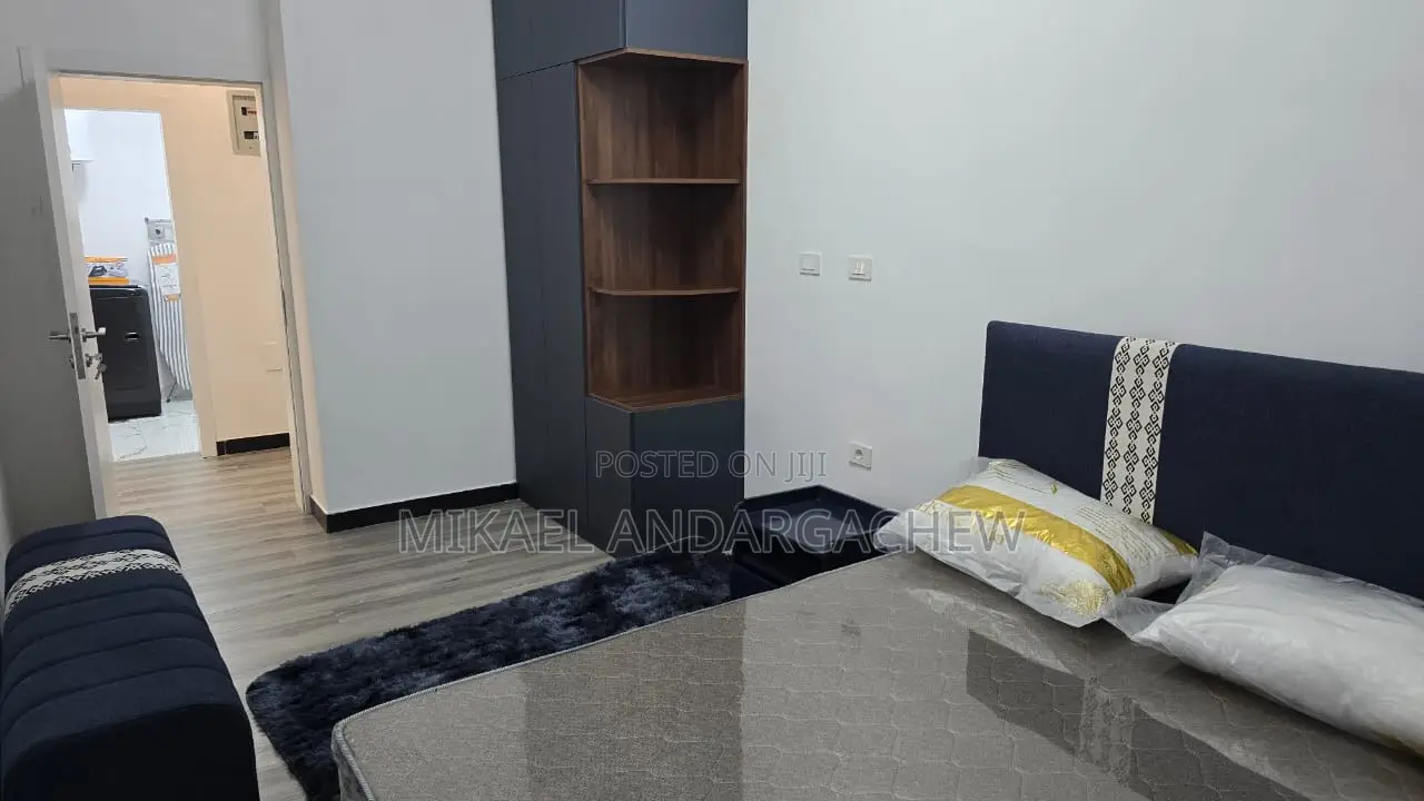 Furnished 3bdrm Apartment in Kirkos for rent