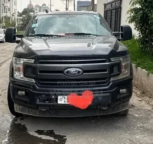 Ford F-150 2021 Gray