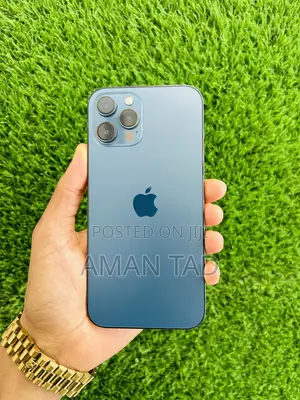 Apple iPhone 12 Pro Max 256 GB Blue