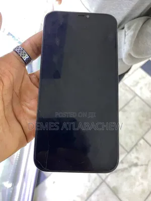 Apple iPhone 12 Pro Max 256 GB Gray