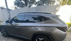 Hyundai Tucson 2021 Blue