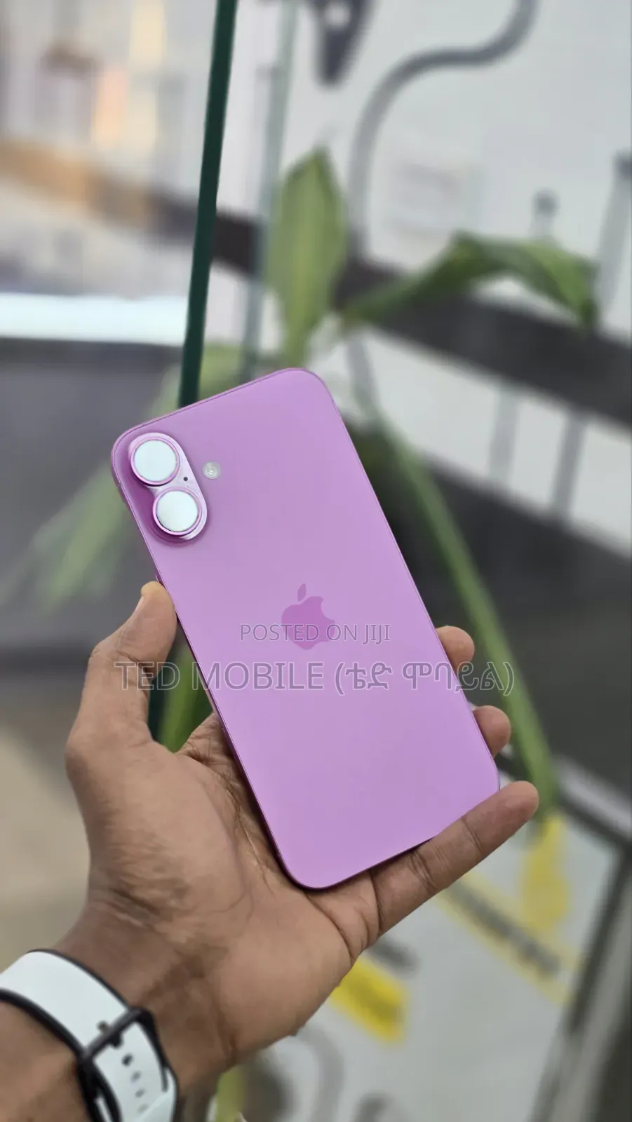 New Apple iPhone 16 Plus 128 GB Pink