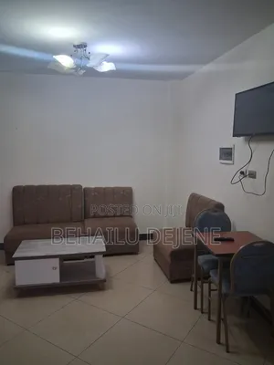 Furnished Studio Apartment in Lucysabrin, Bole for rent