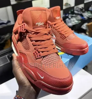 Air Jordan 4 Bike