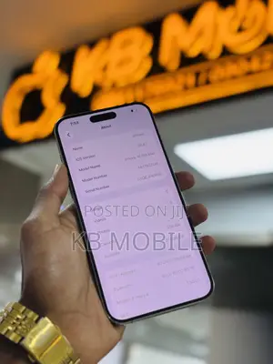 Apple iPhone 15 Pro Max 256 GB Silver
