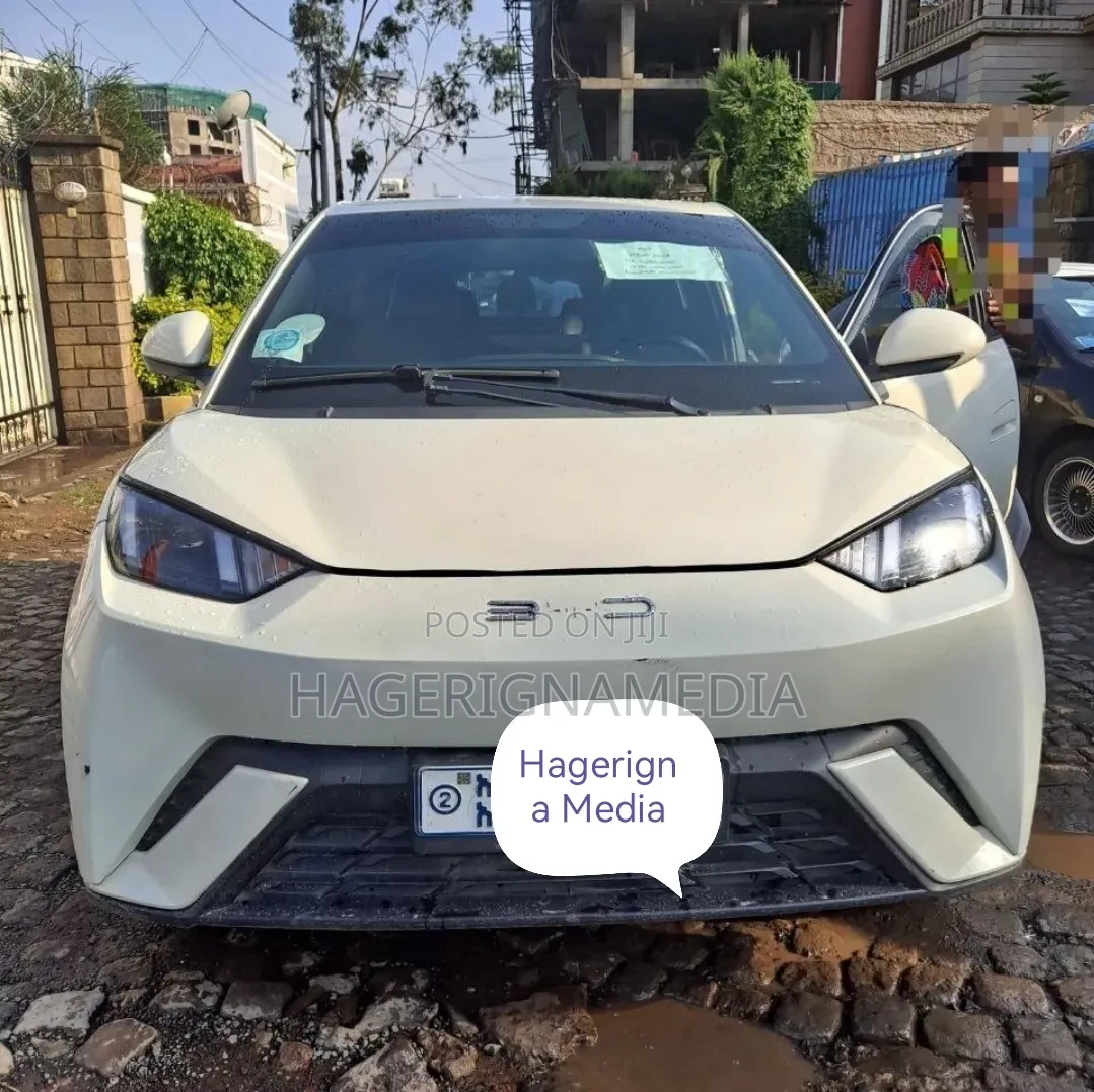BYD Seagull 2024 White