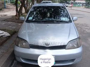 Toyota Platz 2001 Silver