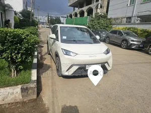 BYD Seagull 2025