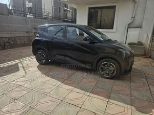 BYD Seagull 2024