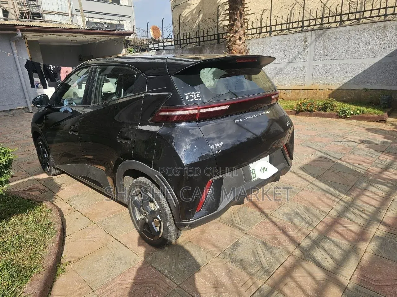 BYD Seagull 2024