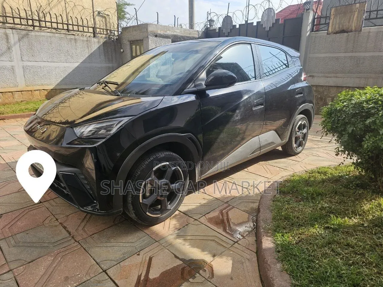 BYD Seagull 2024