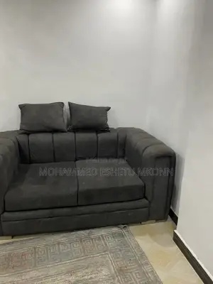 Blue Black Sofa