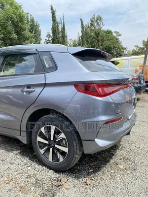 BYD E2 43 kWh 94 hp FWD 2025 Gray