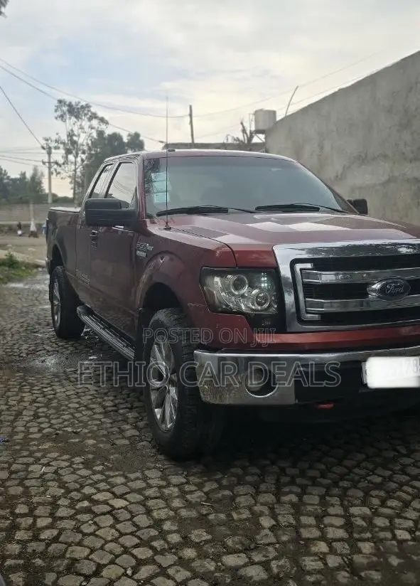 Ford F-150 2014 Burgundy