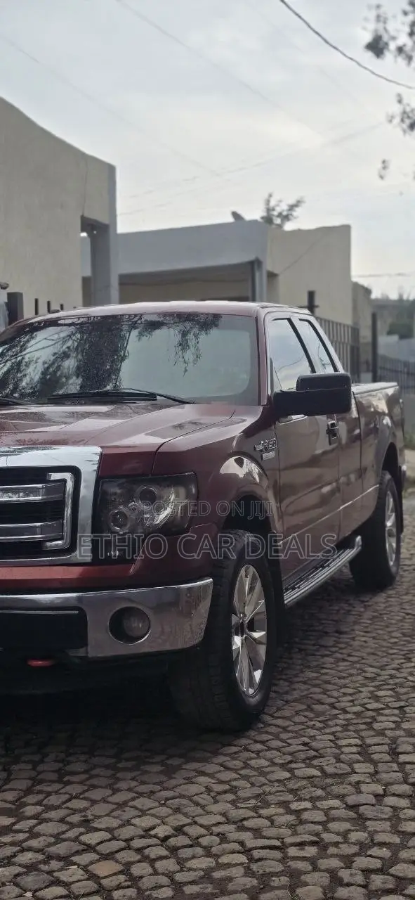 Ford F-150 2014 Burgundy