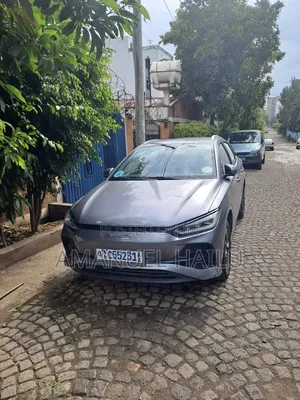 BYD E2 43 kWh 94 hp FWD 2024 Gray
