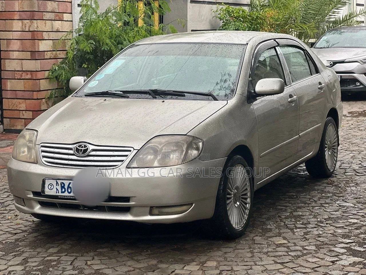 Toyota Corolla 2003 Beige