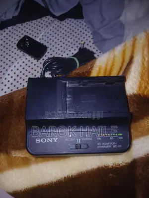 Sony BC-U1 AC Adaptor and Battery Charger