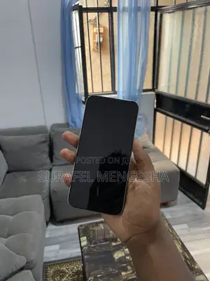 Apple iPhone 15 Pro Max 256 GB Silver