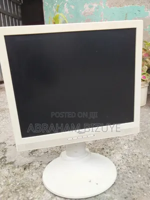 17" Monitor
