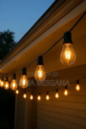 String Lights Bulbs