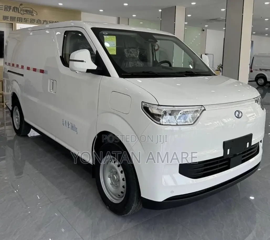 New Dongfeng EV EX1 2025 White