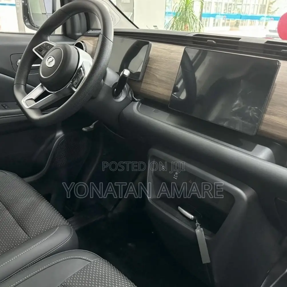 New Dongfeng EV EX1 2025 White