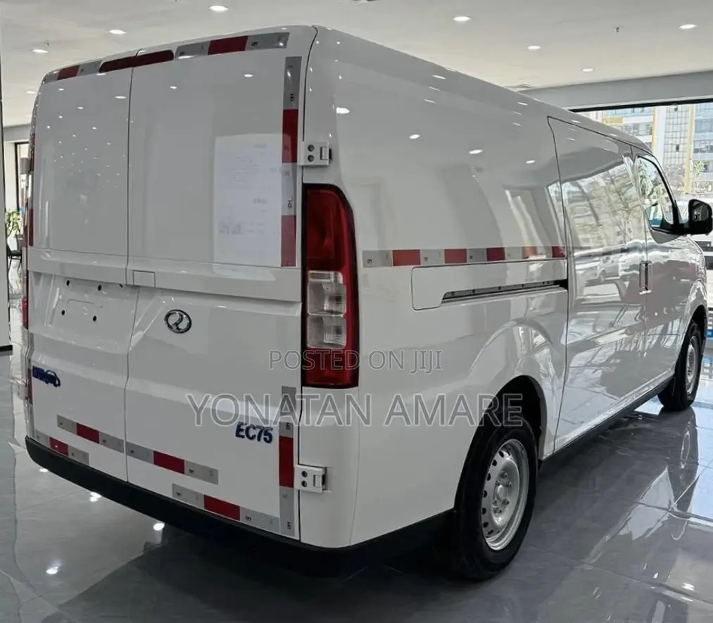 New Dongfeng EV EX1 2025 White