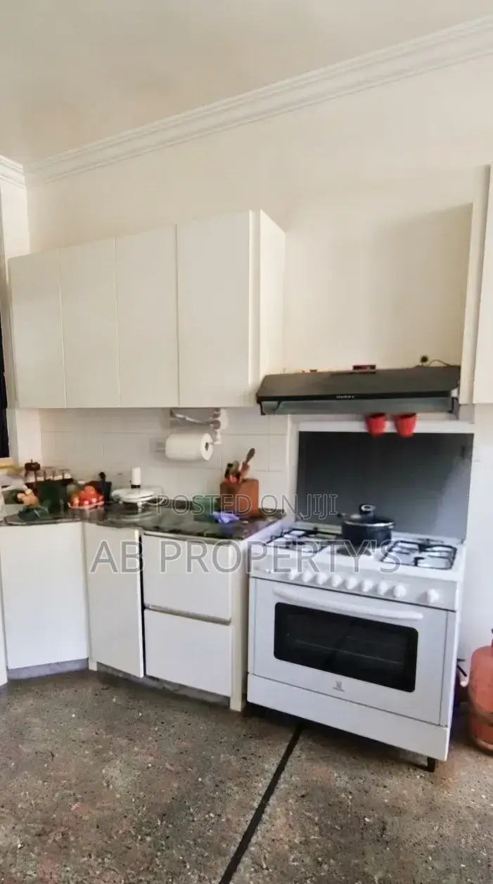 Furnished 2bdrm Apartment in አዲሱ ቤተመንግስት, Yeka for sale