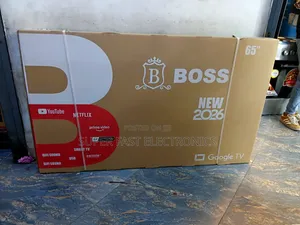 BOSS 65 Inch TV Ultra HD (3840 × 2160) QLED Display Google TV Smart