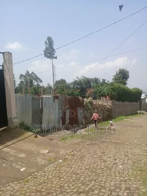 መሃል ካራ, አርሴማ ጋር የሚሸጥ 1000 ካሬ ግቢ