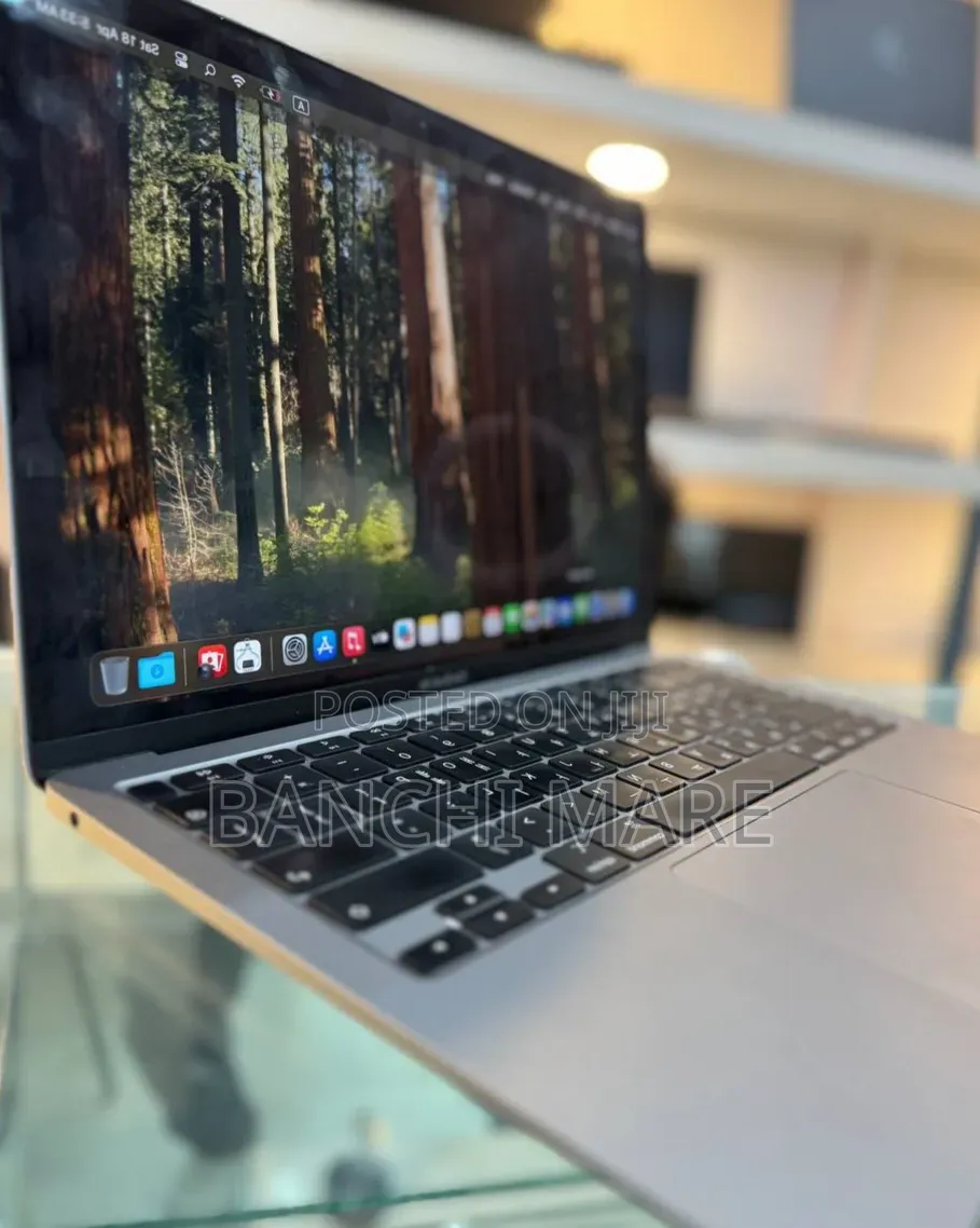 New Laptop Apple MacBook Pro 2021 M1 8GB Apple M1 SSD 256GB
