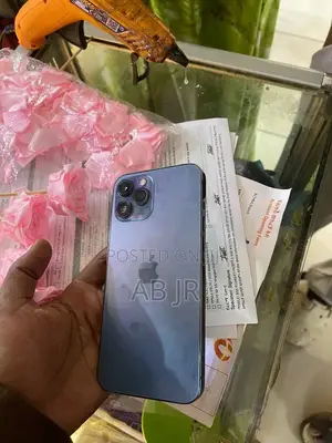 Apple iPhone 12 Pro Max 256 GB Blue