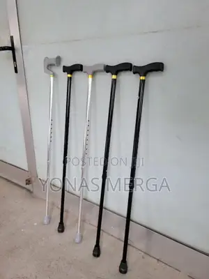 Walking Sticks and Aids经督easy to Carry, It's the Perfect Companion