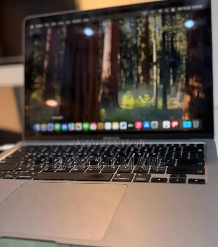 New Laptop Apple MacBook Pro 2021 M1 8GB Apple M1 SSD 256GB