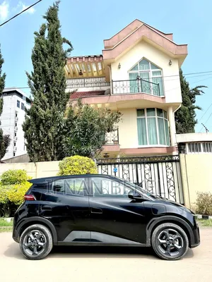 BYD Seagull 2024 Black