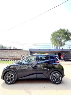 BYD Seagull 2024 Black