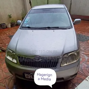 Toyota Corolla 2007 Silver
