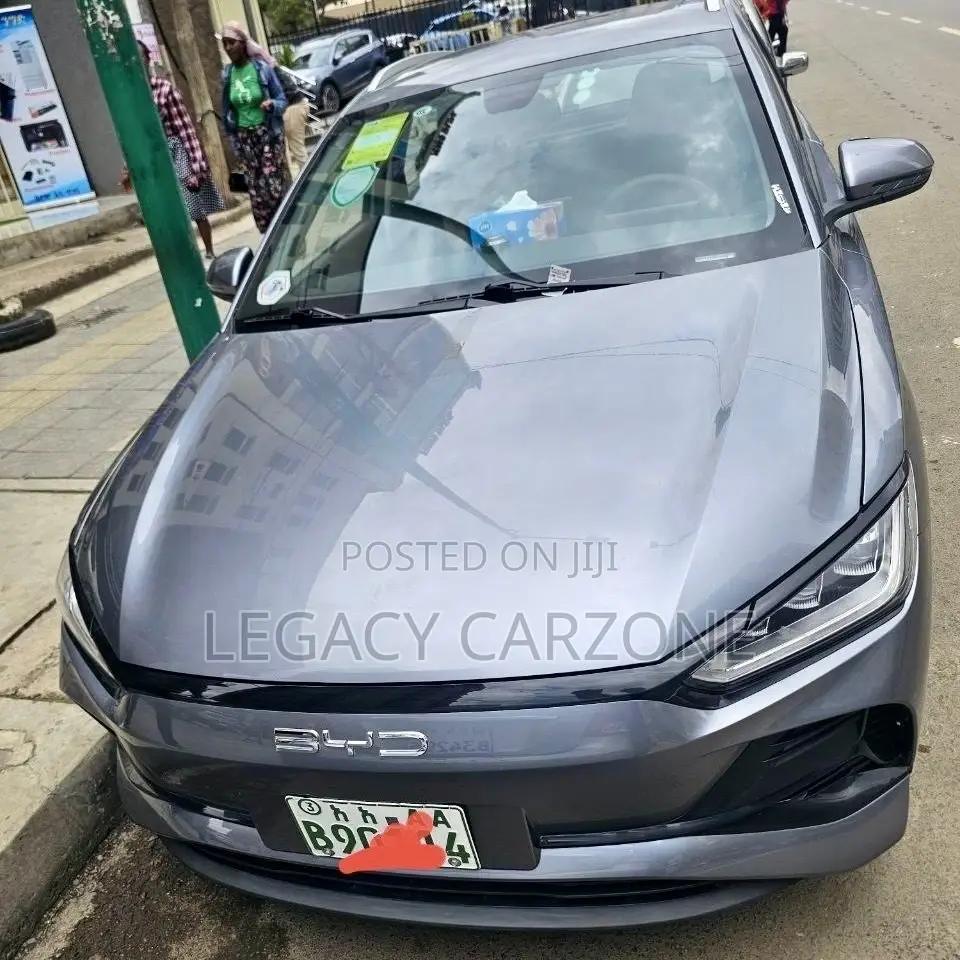 BYD E2 43 kWh 94 hp FWD 2024 Gray
