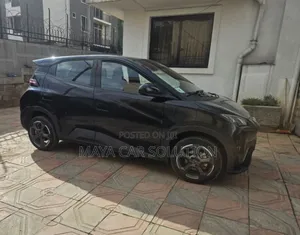 BYD Seagull 2024 Black