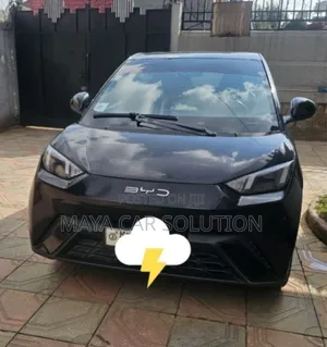 BYD Seagull 2024 Black